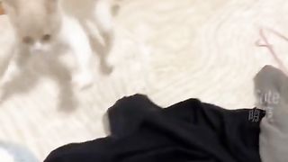 hamsterstore_