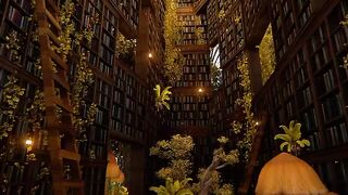 Beautiful room