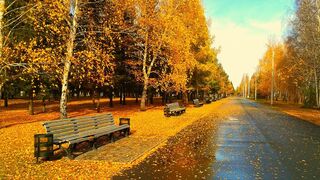 ПЕСНЯ ПРО МОКРЫЙ ОСЕННИЙ ПАРК