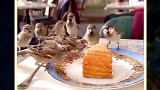 Don't very about your food