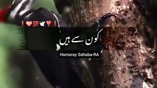 Discover Pakistan.
