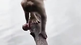 mother wants to throw her child into the river