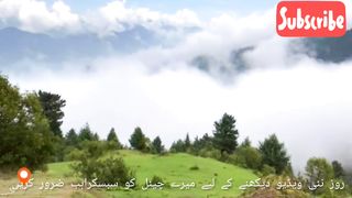 Kashmiri me Tolipir ke sair number (7)