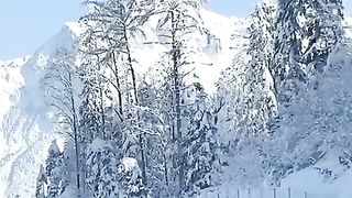 Amazing video
