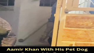 Aamir Khan With His Pet Dog Spotted At Bandra #aamirkhan #short #shorts #trending #viral #bollywood #viralshorts