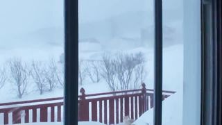 My cat jump through the snowbank