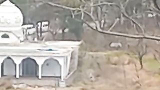 Jammu and Kashmir ke sair