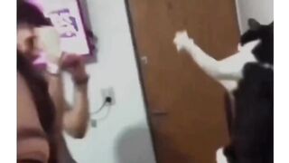 Gato vs dono