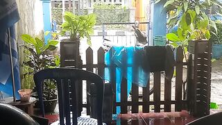 Lalu lintas normal terkendali