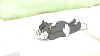 Episode 13: The Zoot Cat