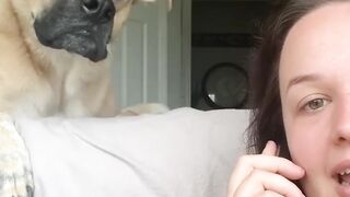 Funny dog gets pranked favorite word