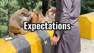Funy clips