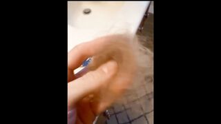 funny animals
