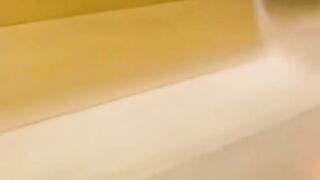 Funny Cute Pets