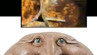 Funny vedio