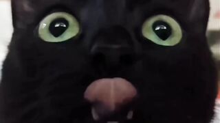 Tiktok funny