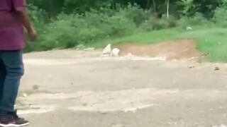 Funny moments