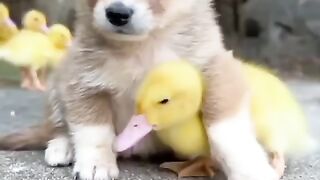 True Friendship