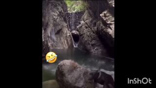 MEMES VIRALES DE TIKTOK COMPILATION