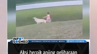Aksi heroik