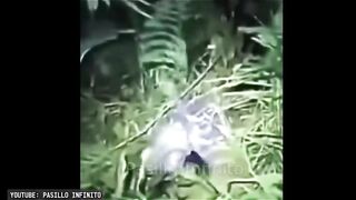 Um pequeno demônio foi achado em uma selva