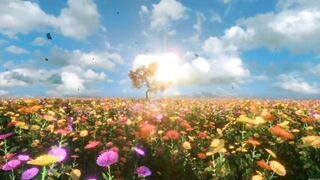 the sunrise is greeted by flowers in the morning which is beautiful