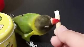 Parrot trick