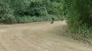 what is the name of this maneuver?