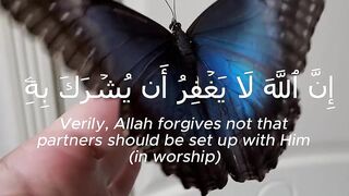 Surah An-Nisa #quranic_mind