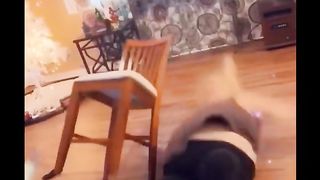Funny video