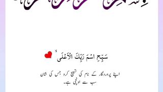 Quran , Al Quran Surah 87 Ayat 01 #viral #shorts #quran #youtubeshorts #ayat #asadnisar #plyghalatv #pilwaaltv