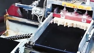 Amazing videos vol 517
