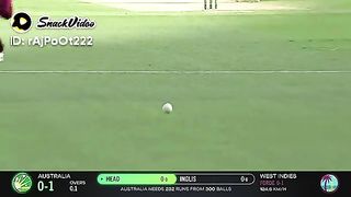 Australia innings against west indies in 1st odi