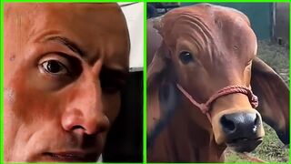 if you laugh you eat raw egg | try not to laugh impossible