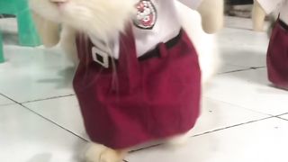 let's go to school