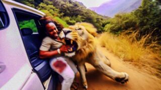 When Animals Go On A Rampage! Interesting Animal Moments CAUGHT ON CAMERA