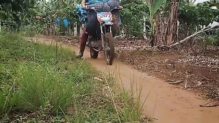 ikan sepat ikan gabus pinjam dulu 100 ???? #petani #petanipisang #fyp #pisang #petani #pisangchavendish