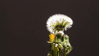 Beauty of nature