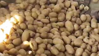 आलू मंडी रेट