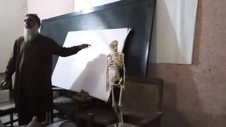 OSTEOLOGY -    ھٰڈیوں کا علم  -  علم العظام