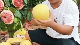 Bali fruits