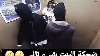 Funny animals