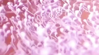 21+ How baby develop from sperm and ovum.