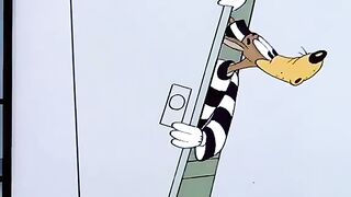 Funny Cartoon