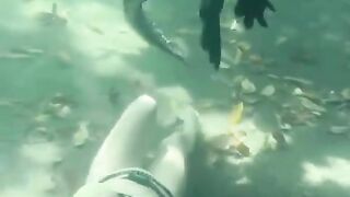 Женщина плавает с крокодилом.A woman swims with a crocodile.