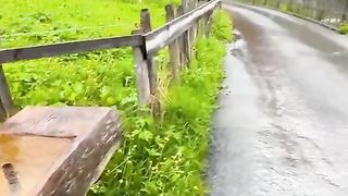 Beautiful Nature of Switzerland