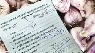 Today garlic mandi rate in India