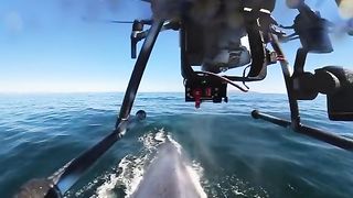 Try hitching a ride on a mucus express -- -- _snotbot with _Insta360 X3 _whale _ocean _Thalassophobia _megalophobia