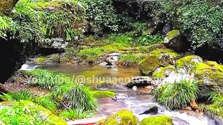Beautiful Natural Views