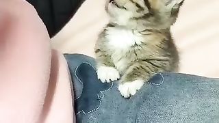 I am very sleepy
